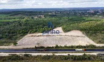 Imagem 2: Área para Venda em Alagoinhas, Boa União