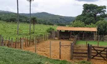Imagem: Fazenda 1.512 há, casa sede e de caseiro