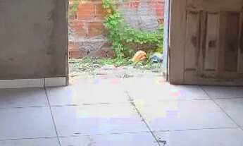 Imagem 3: Vende-se Casa em Marcos Moura