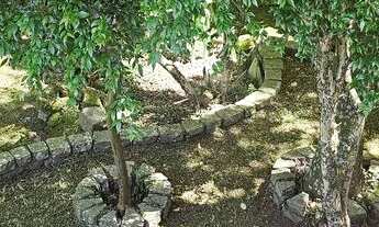 Imagem 3: Casa 3 dormitórios, 1 suíte