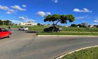 Imagem 4: Lote Jardim Europa