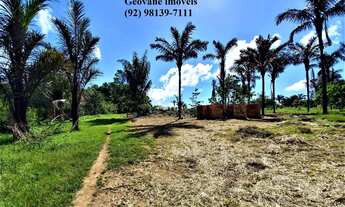 Imagem: Fazenda Sítio Chácara Estrada de Janauary