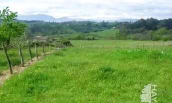 Imagem 6: São Roque: Oportunidade Única de Investimento em Lotes de 1.000 m²! 20 min da Rota do Vinh