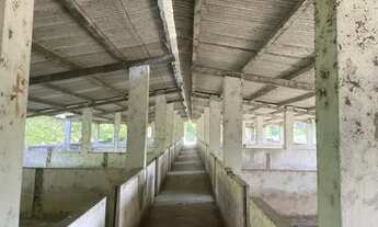 Imagem 3: Fazenda em Marechal Deodoro