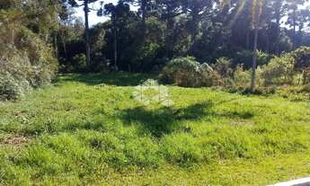 Imagem 6: Amplo terreno à venda em bairro residencial