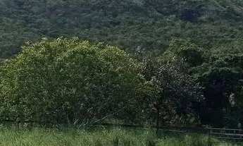 Imagem: Fazenda com 28 alqueires documentada casa