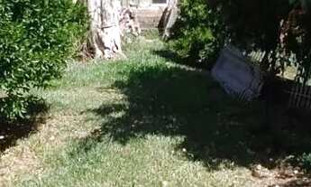 Imagem 2: Casa em Ipanema Casa com 3 dormitórios