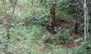 Imagem 2: Compro casa ou apartamento a base de permuta