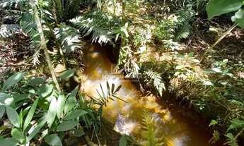 Imagem: Fazenda - Rural - Pronto para morar Centro