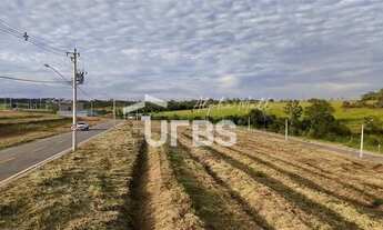 Imagem 7: Lote Vinhas Flamboyant