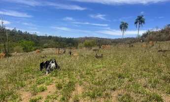 Imagem 5: Quem busca terreno em Mairiporã encontra em Terra Preta Aproveite
