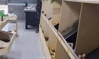 Imagem 6: Hortifruti com lindas e novas instalações fechado a 1 semana Ref;1334