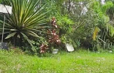 Imagem 4: TERRENO RURAL em MAIRINQUE - SP, Dona Catarina