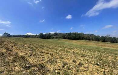Imagem 5: Lotes em Caucaia do Alto - Sao Paulo
