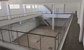 Imagem 4: Galpão - Ramos - 500 m2 - Cód. 1742