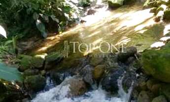 Imagem 5: Sítio à venda em Rio do ponche, São bonifácio cod:TOSI00011