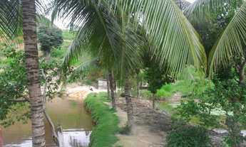 Imagem 7: Sitio 21 hectares município de nova venecia es