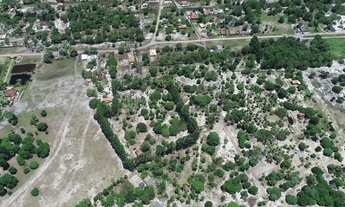 Imagem 6: Vende-se Sítio no Perímetro Urbano de Nova Viçosa, Bahia