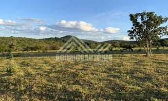 Imagem 6: Terreno Rural - 21km de Montes Claros