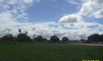 Imagem 7: Vendo área plana com 5.700m² no Jiquiá, rua calçada próximo a Rua São Miguel - Recife - P