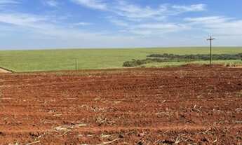 Imagem 2: Fazenda a venda na região de Londrina PR