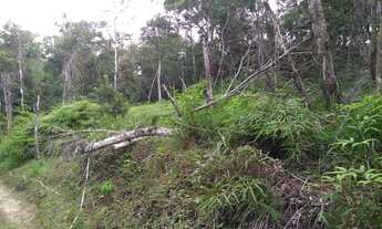 Imagem 4: Sitio Chácara com venda por R$75.000