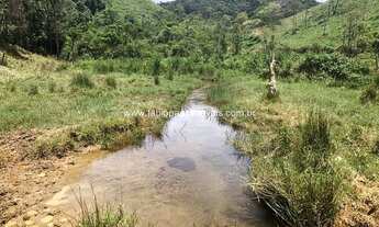 Imagem 6: Fabio Paes Imóveis - Fazenda a venda com 484 ha com Geo e capacidade 450 vacas