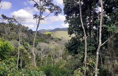 Imagem 2: Lote no Vale das Videiras para venda tem 6000 m²