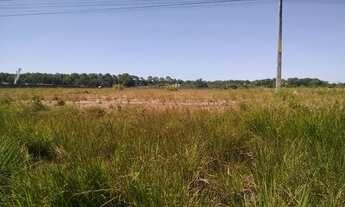 Imagem 3: Alugo área 30.000m² beira da pista Eixo da Integração Marcos Freire - Jaboatão dos Guarara