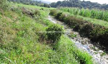 Imagem 7: Fabio Paes Imóveis - Fazenda a venda com 15.5 alq (75.02 ha), terra boa e muito boa de águ