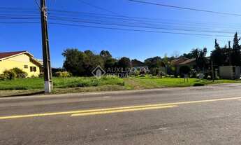 Imagem 4: ESTRELA - Terreno Padrão - Costão