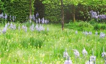 Imagem 3: Fazenda/Sítio/Chácara para venda possui 600 metros quadrados com 3 quartos fotos ilustrati