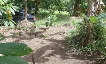 Imagem 3: Sítio a venda Fazenda / sítio com venda por R$150.000