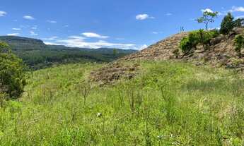 Imagem 5: Terreno com 3,9 hectares