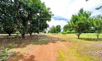 Imagem 4: Sítio para Venda em Brasília, Santa Maria, 4 dormitórios, 3 banheiros