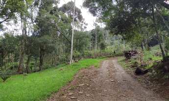 Imagem 4: Sitio com Casa e Riacho em São Francisco de Paula na Localidade da Carapina