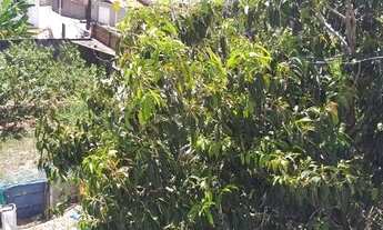 Imagem 4: Terreno com 630 m2 em Jardim Atlântico, Olinda - PE. Ideal para instalação de antena 5G