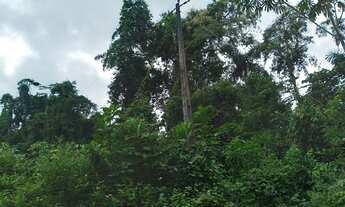 Imagem 3: Colônia Chácara com venda por R$20.000