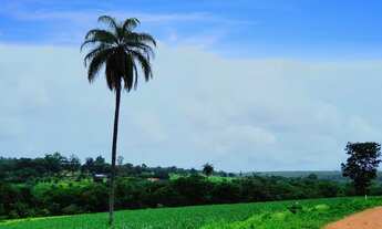 Imagem 5: Vendo Terrenos de 20.000m² na Região do Vila Amanda 19.515 + Parcelas