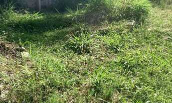 Imagem 7: Terreno em Ipelândia