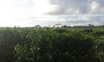 Imagem 4: Ótima Fazenda com 42 hectares próximo ao córrego