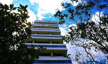 Imagem 2: CONJ. COMERCIAL - MOEMA ÍNDIOS - SP