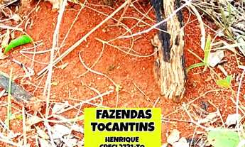 Imagem 7: Fazenda Araguacema