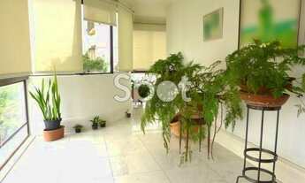 Imagem 5: São Paulo - Apartamento Padrão - Real Parque