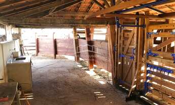 Imagem 5: FANTASTICA FAZENDA A 54 KM DE MONTES CLAROS MG FORMADA DE 30 AL