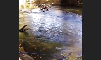 Imagem 4: Chacara em pirinopolis