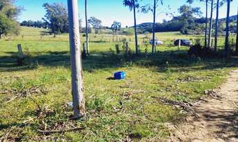 Imagem 4: Vendo chácara de 2 hectar, localizada em Santo Antônio da Patrulha _ Costa do Miraguaia!!