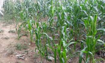 Imagem: Ótimo Terreno no RESIDENCIAL UNIÃO, 250