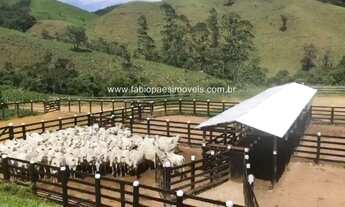 Imagem 3: Fabio Paes Imóveis - Fazenda a venda com 484 ha com Geo e capacidade 450 vacas