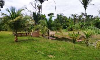 Imagem 4: Vendo Sítio de 69 hectares(345x2000), Na BR 319, KM 13, Linha Transpurus